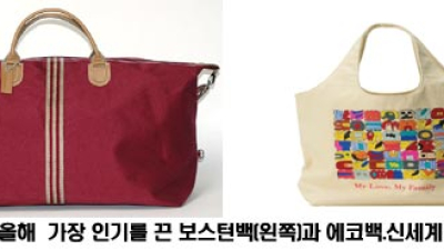 신세계 최고액 고객 연간 9억2천만원 질렀다… 최고 인기 사은품 ‘보스턴백’·강좌는 ‘실버 건강 댄스’