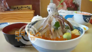 덮밥위 오징어 다리가 '꿈틀'… 日요리에 해외네티즌 '경악'