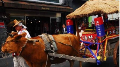 제7회 전북 순창 장류 축제