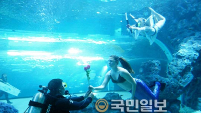 한화 아쿠아플라넷 제주, 발렌타인데이 이벤트