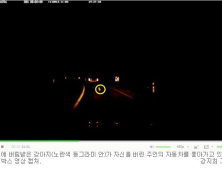 강아지 버리고 도망가고…버린 주인 쫓아가고