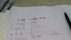 [세월호 침몰 참사] “홍가혜, 경찰서 허위 진술하기도”… 다이버 자격증 없다 실토