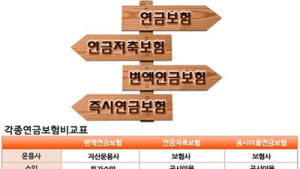 연금보험 vs 연금저축보험 vs 즉시연금, 자산과 나이별 안성맞춤 연금보험은?
