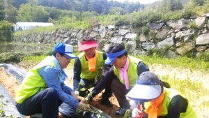NH농협손해보험, 영농철 농촌 봉사 활동 실시