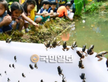 북방산 개구리 방사 행사