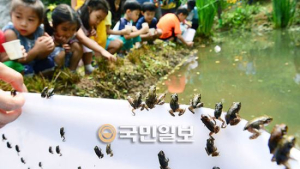 북방산 개구리 방사 행사