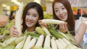 강원소방본부 헬기 사고 수습 감사, 광주시에 옥수수 전달