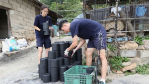 공군사관학교 생도 240명 연탄봉사활동 나서
