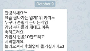 [친절한 쿡기자] “떴다! 김미영 팀장이 텔레그램에…” 사이버 망명이 사이버 골드러시로?