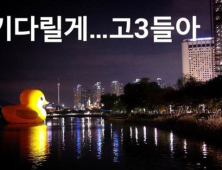 러버덕 “오늘이 마지막 기다릴게”… 창고 거쳐 산업폐기물 처리될 수도