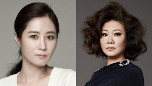 박찬욱 신작 ‘아가씨’… 김민희·하정우에 문소리·김해숙까지