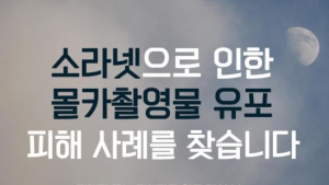 뿌리 깊은 ‘소라넷’ 정말 폐쇄될까