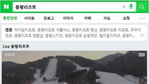 “용평리조트가 한 눈에…” 네이버 ‘라이브-웹캠’ 검색 제공
