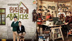 [친절한 쿡기자] ‘집방’ ‘펫방’, 2016 대표 예능 콘텐츠 될까