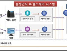 당뇨 노인, 전화를 이용한 U-헬스케어 도움된다