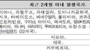 지카 바이러스의 오해와 진실…임신부 걸리면 무조건 신생아 소두증?