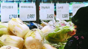 설 물가안정, '한우·수산물·채소류' 공급 대폭 확대