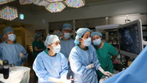 선천성 판막질환 태아, 엄마 뱃속서 치료