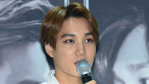 카이 없는 엑소… 비자 없어 美 댈러스 공연 ‘삐그덕’