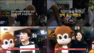 못된고양이, KBS ‘잘 부탁드립니다’서 직원에 깜짝 휴가