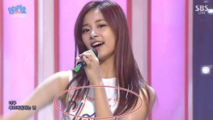 “매춘부라고 쓰인 것 아니야?” 쯔위에게 괴상한 의상 입히고 이틀 만에 사과한 JYP