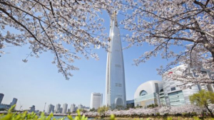 벚꽃엔딩 롯데월드타워