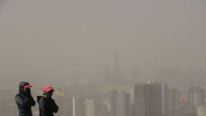 [미세먼지] 서울 주말 내내 '최악'… 미세먼지 뒤집어쓴 벚꽃