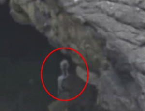 [쿠키영상] '신비의 도시' 마추픽추 바위 뒤에서 포착된 회색의 외계인?