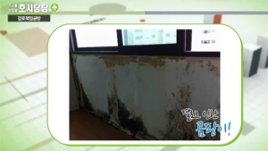 [봉기자의 호시탐탐] “결로 곰팡이 책임은 입주자?” 환기 안 해서 생겼다던 건설사들의 꼼수, 알고보니