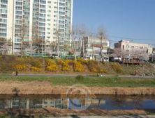 [날씨] 오늘(25일) 전국 대체로 맑으나 미세먼지 농도 일시적으로 ‘나쁨’