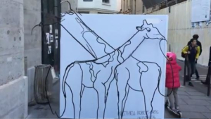 [쿠키영상] 신기한 기린-코끼리 작품...보는 각도에 따라 기린이었다가 코끼리였다가