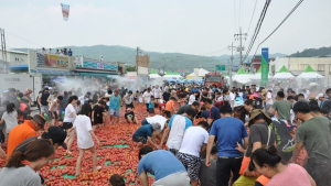오뚜기, 13년째 ‘화천 토마토 축제’ 후원