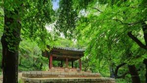 올해 광복절에는 고궁과 왕릉에서 함께하세요