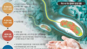 보건당국 콜레라 원인 해수·해산물 오염 가능성