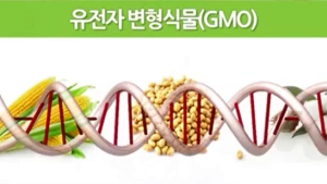 10명 중 9명, 