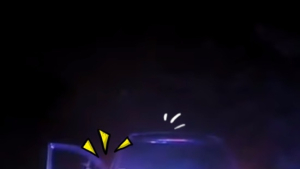 [쿠키영상] 로드킬 당할 뻔한 사슴, 차량 습격 분노의 복수!