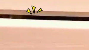 [쿠키영상] 여는 순간 (^^)