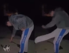 [쿠키영상] 쓰다듬는 척하다 갑자기 고양이 향해 킥! 그리고 낄낄낄...누리꾼 공분