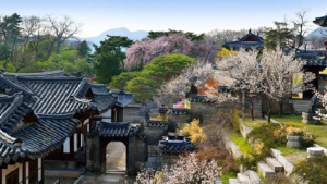 궁궐과 왕릉서 봄꽃 만나세요…4월 절정