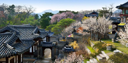 낙선재 봄 전경(문화재청 제공)