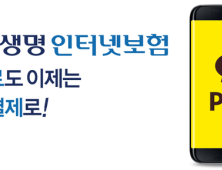 [금융 이모저모] 신한생명, “인터넷보험료 간편결제 하세요”  外 KB생명보험·현대캐피탈