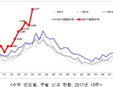 수두 환자 증가…“예방접종하고 개인위생 철저히”