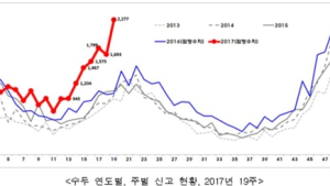 수두 환자 증가…“예방접종하고 개인위생 철저히”