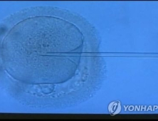 부산서 불임치료 실수 덮으려 낙태주사 투여 의혹 수사