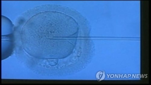 부산서 불임치료 실수 덮으려 낙태주사 투여 의혹 수사