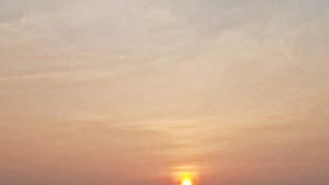 [쿠키 줌 업] '이글이글' 중복의 태양도 '뉘엿뉘엿'