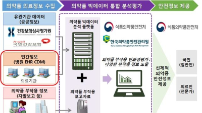 식약처, 의약품 부작용 분석 빅데이터 시스템 강화