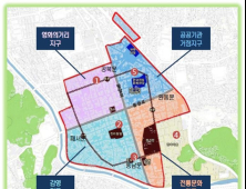 전주 원도심 도시재생사업, 시민 생각대로