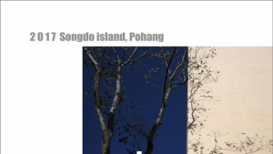 ‘사진의 섬 송도’ 전시회 열려