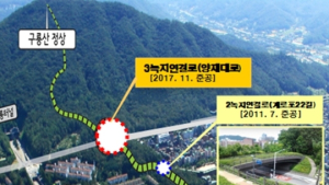 서울 양재천 ~ 녹지연결로 8일 개통
